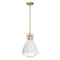 Hello Honey® Kent Industrial Oversized Caged Metal Ceiling Light